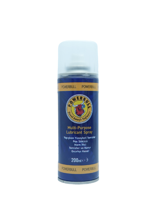PAS SOKUCU YAGLAYICI (MULTI) SPREY 200 ML 